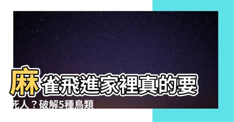 麻雀入屋好不好|【麻雀入屋好不好】麻雀飛進家裡真的要死人？破解5種鳥類飛入。